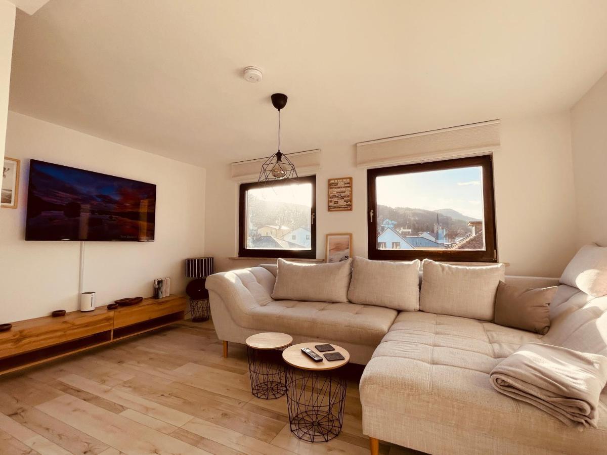 Ar Apartments I 4 Pers I Prime I Kueche I Wlan I Office Rudolstadt Buitenkant foto