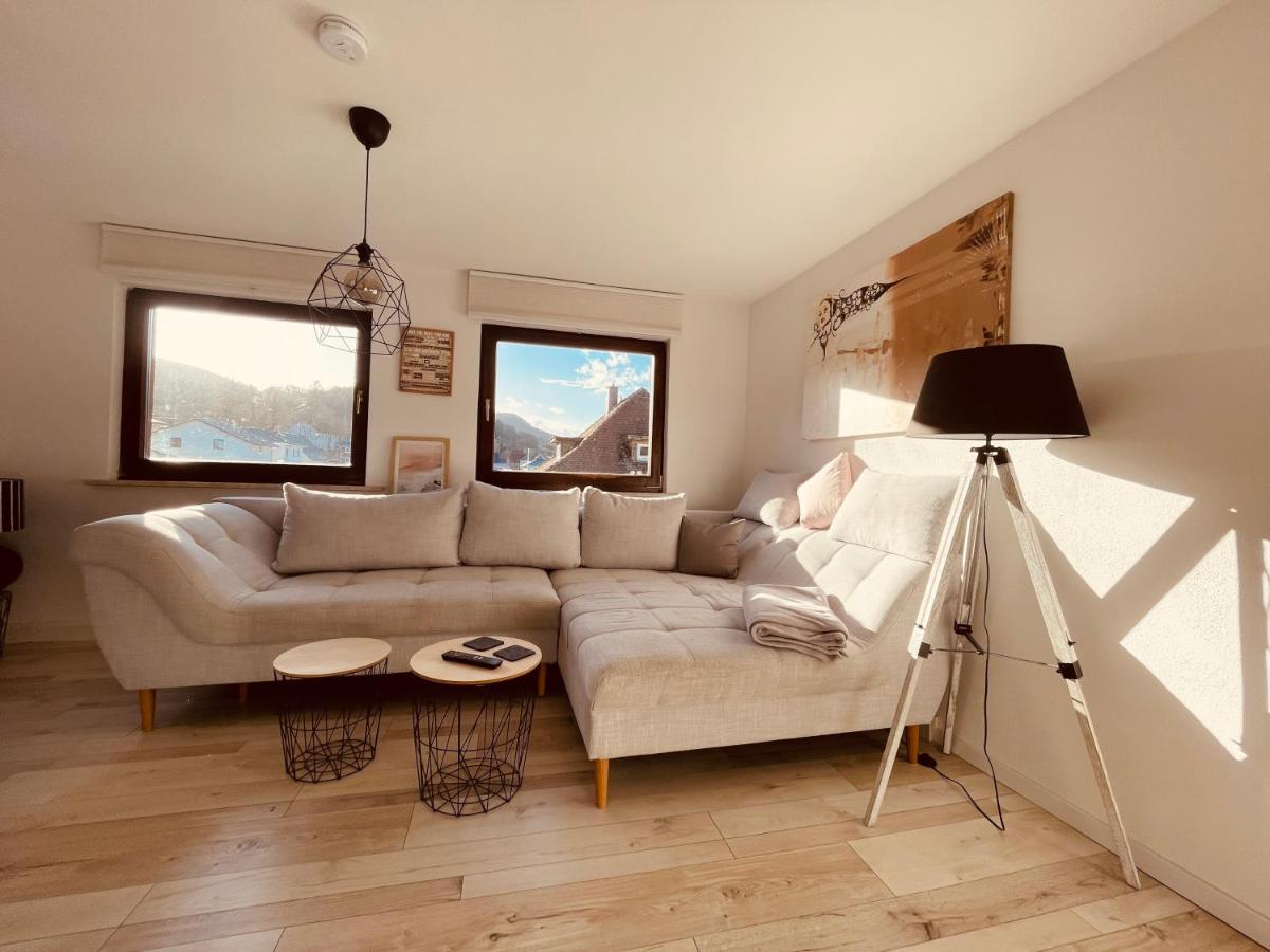 Ar Apartments I 4 Pers I Prime I Kueche I Wlan I Office Rudolstadt Buitenkant foto